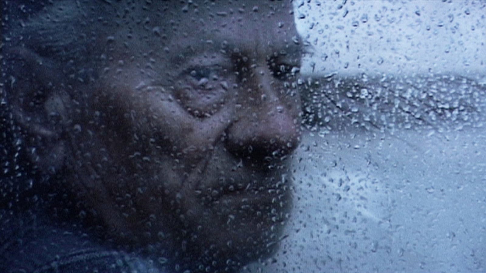 Das Summen der Insekten