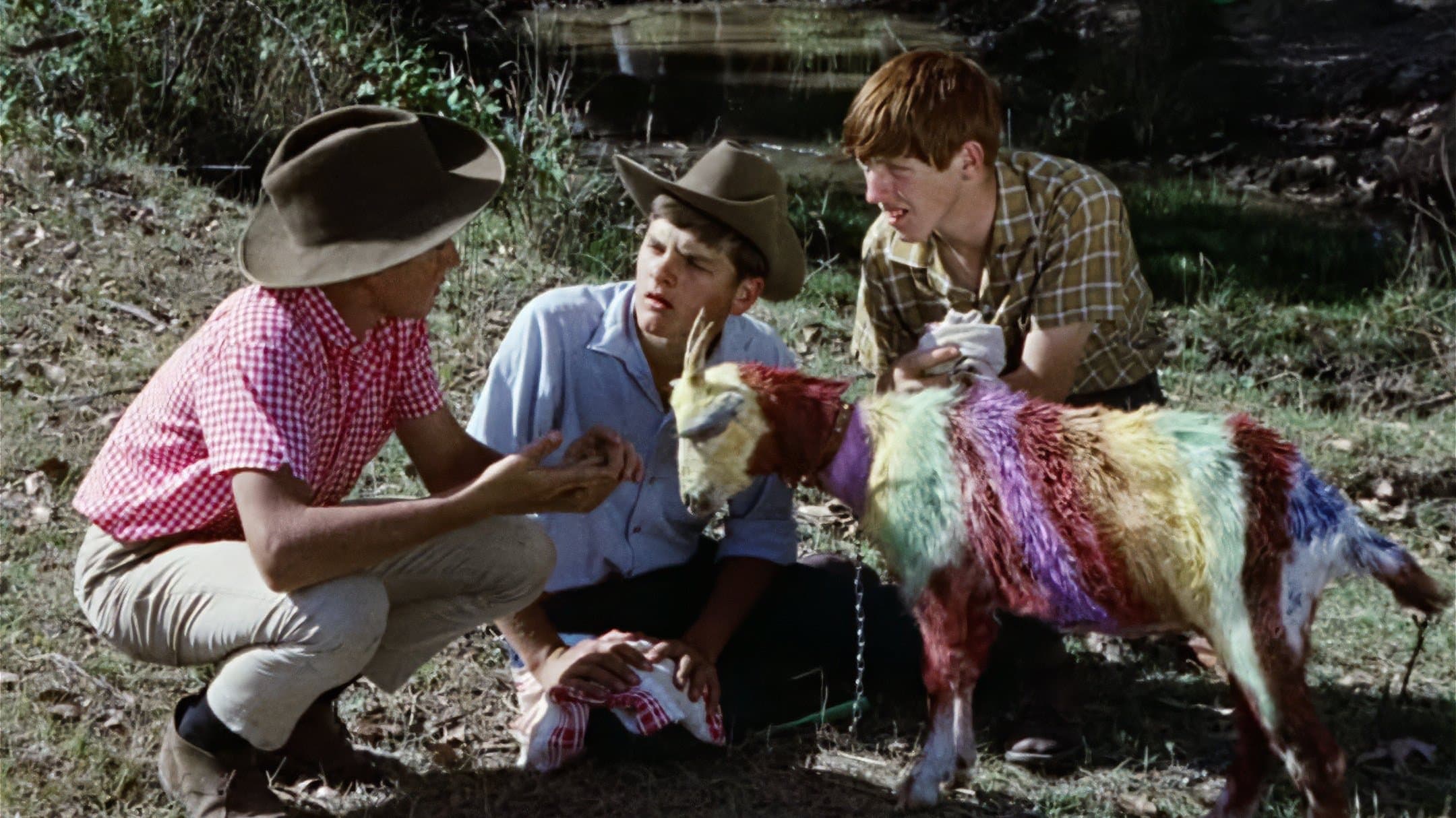 Funny Things Happen Down Under