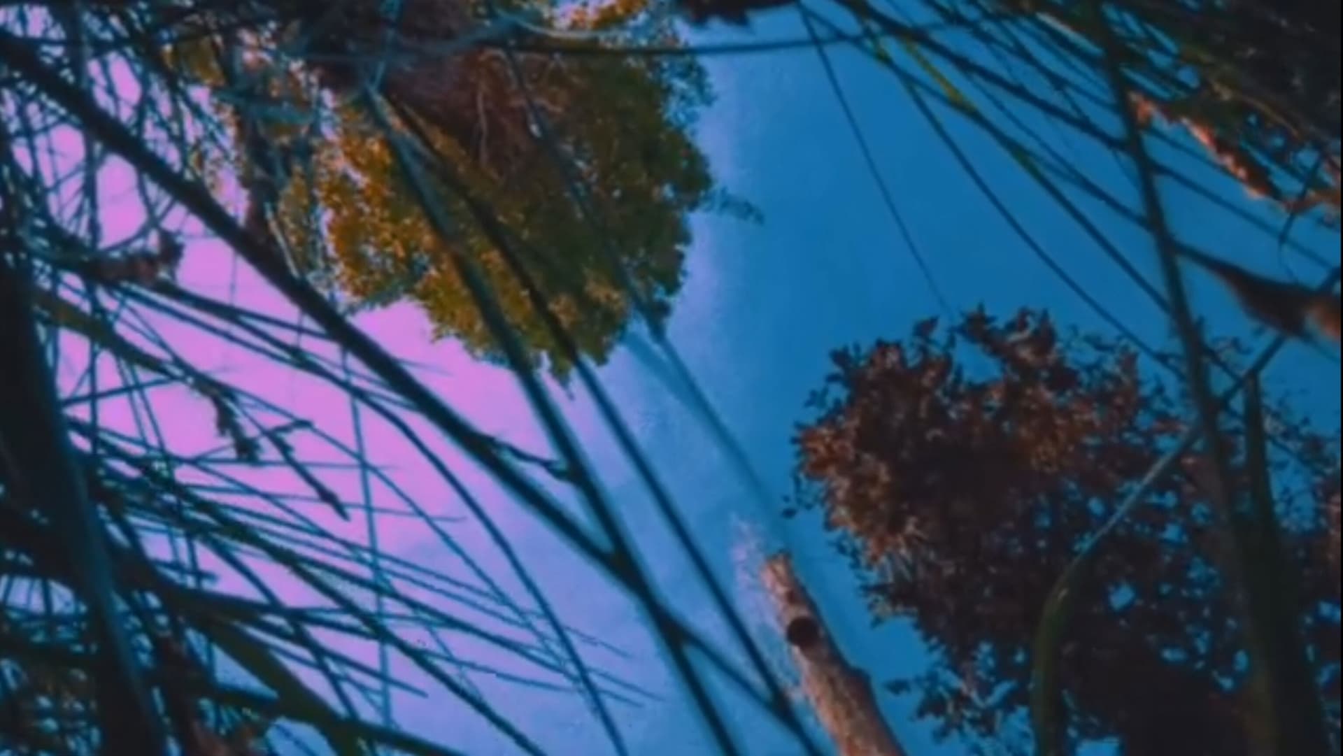 Hər Şeyin Nostaljiyası