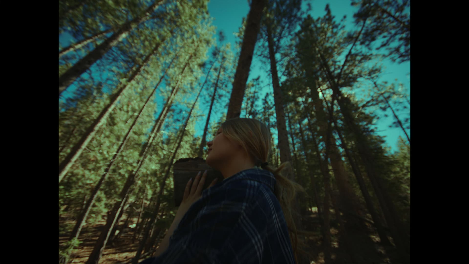Of the Unseen Wildfires