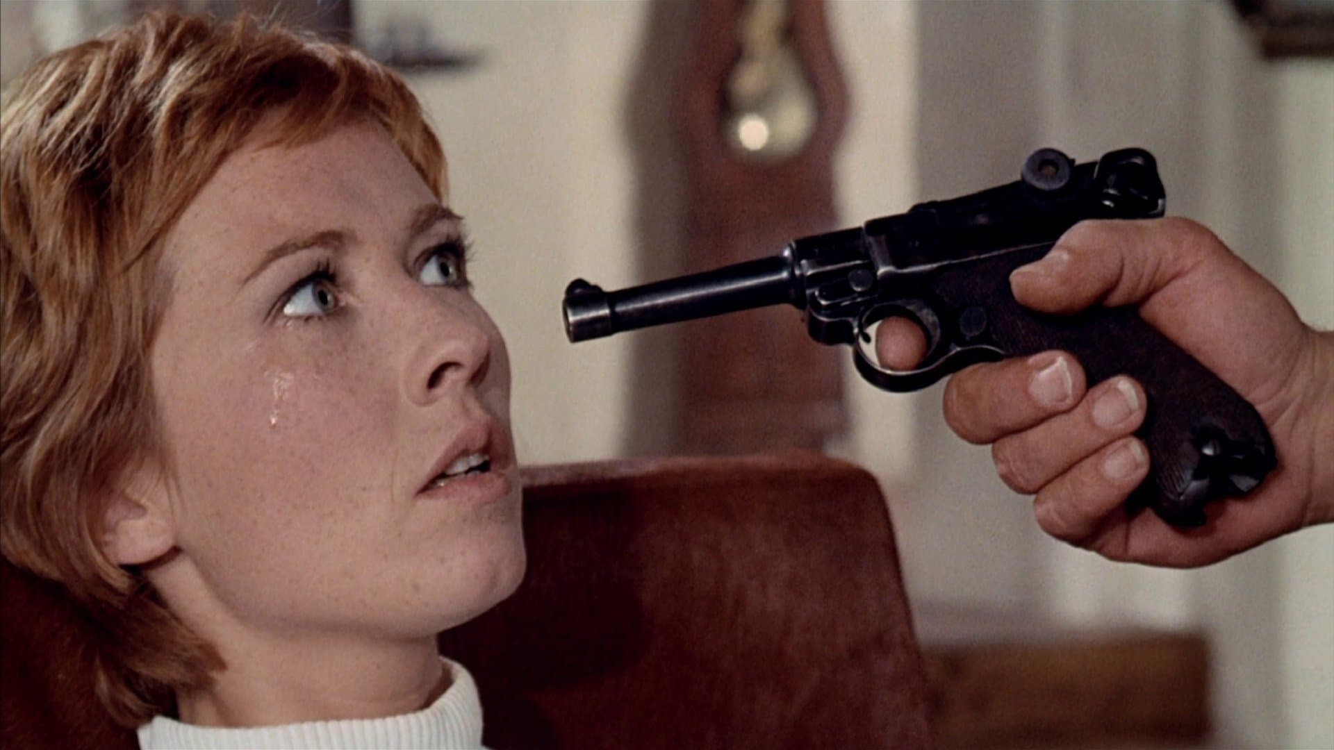 Le Passager de la pluie