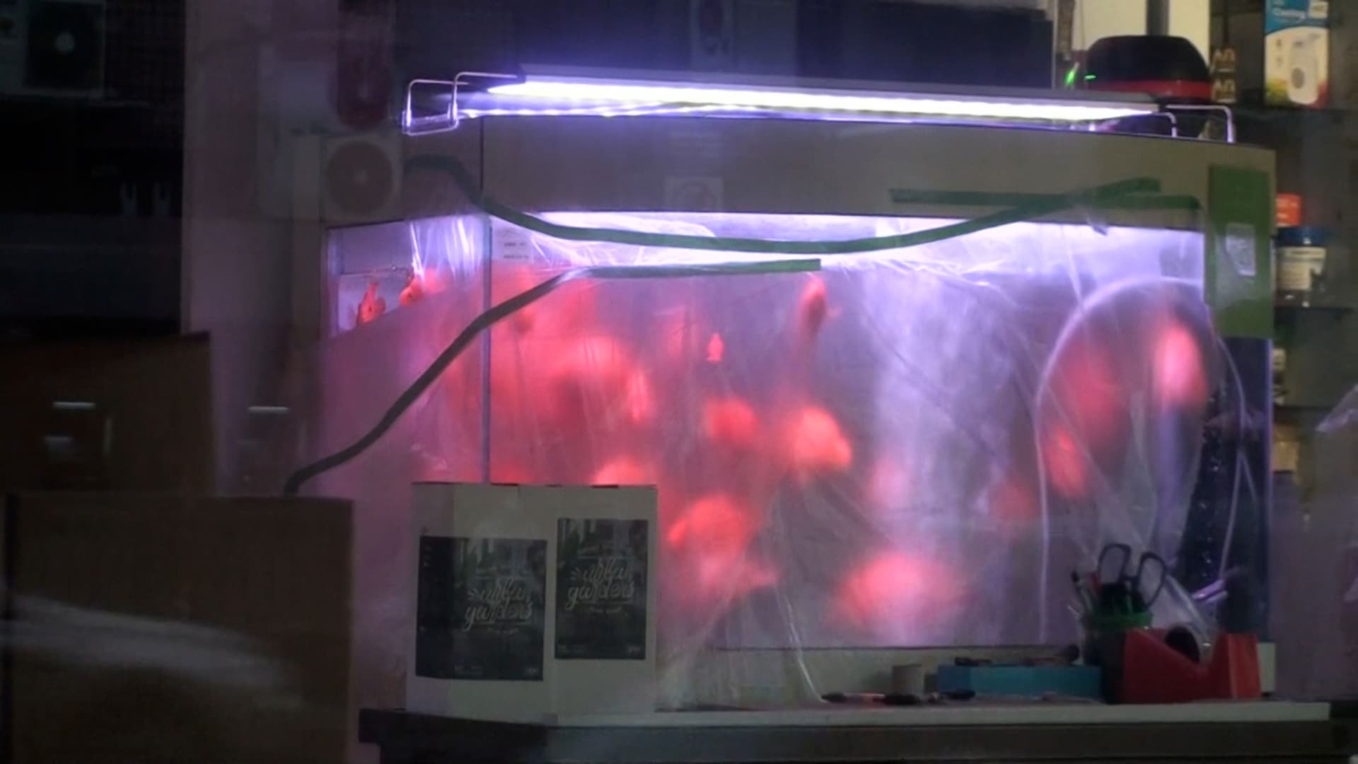 翹課雨天回家路上