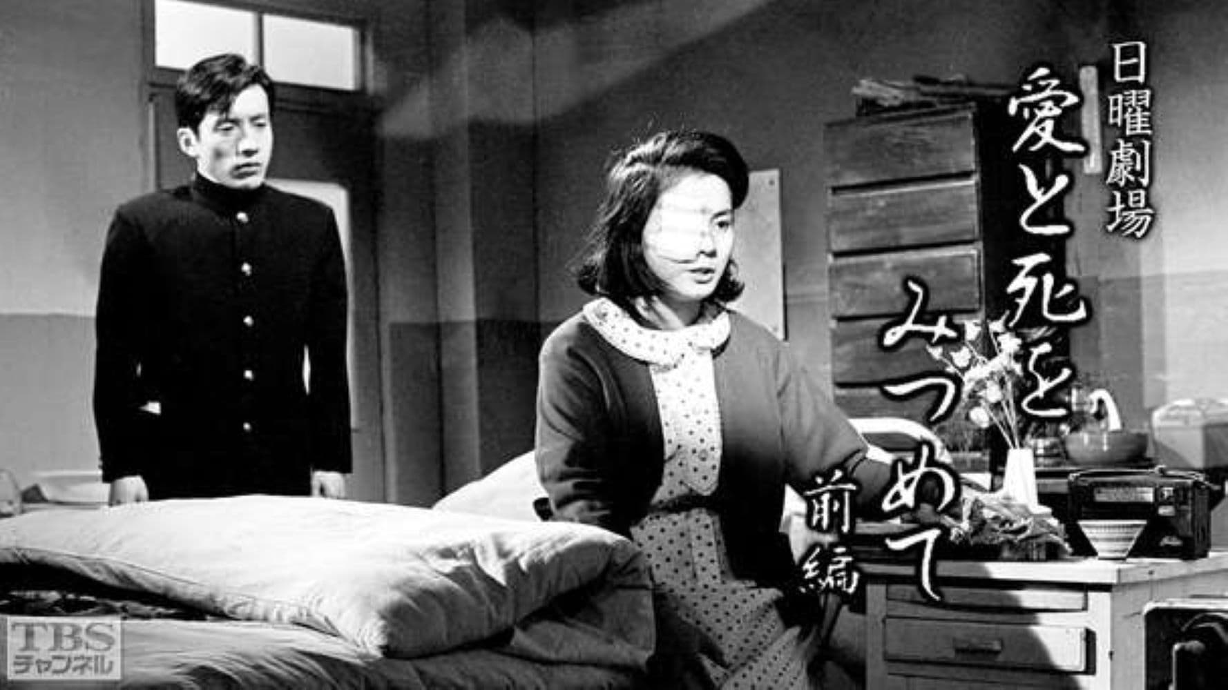 愛と死をみつめて