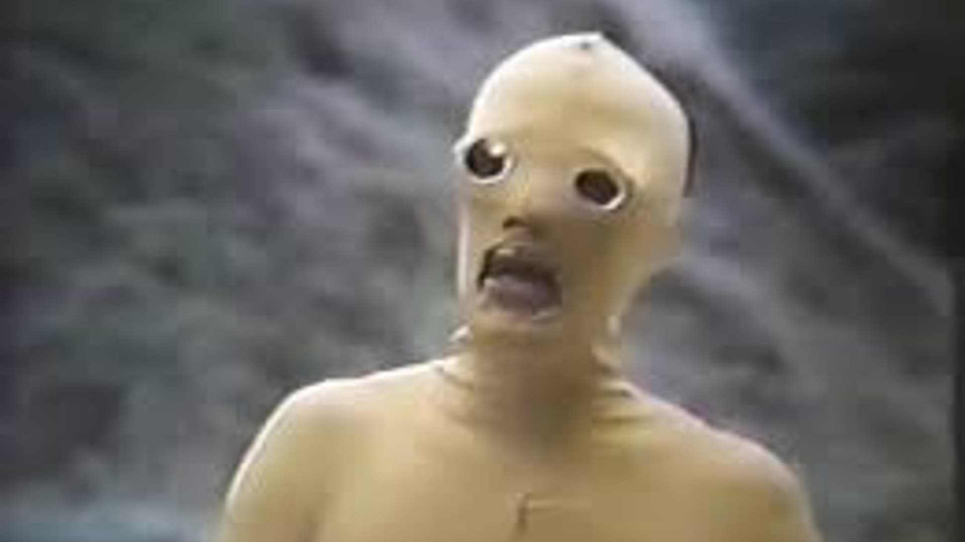 Macho, Fêmea & Cia. (A Vida Erótica de Caim e Abel)