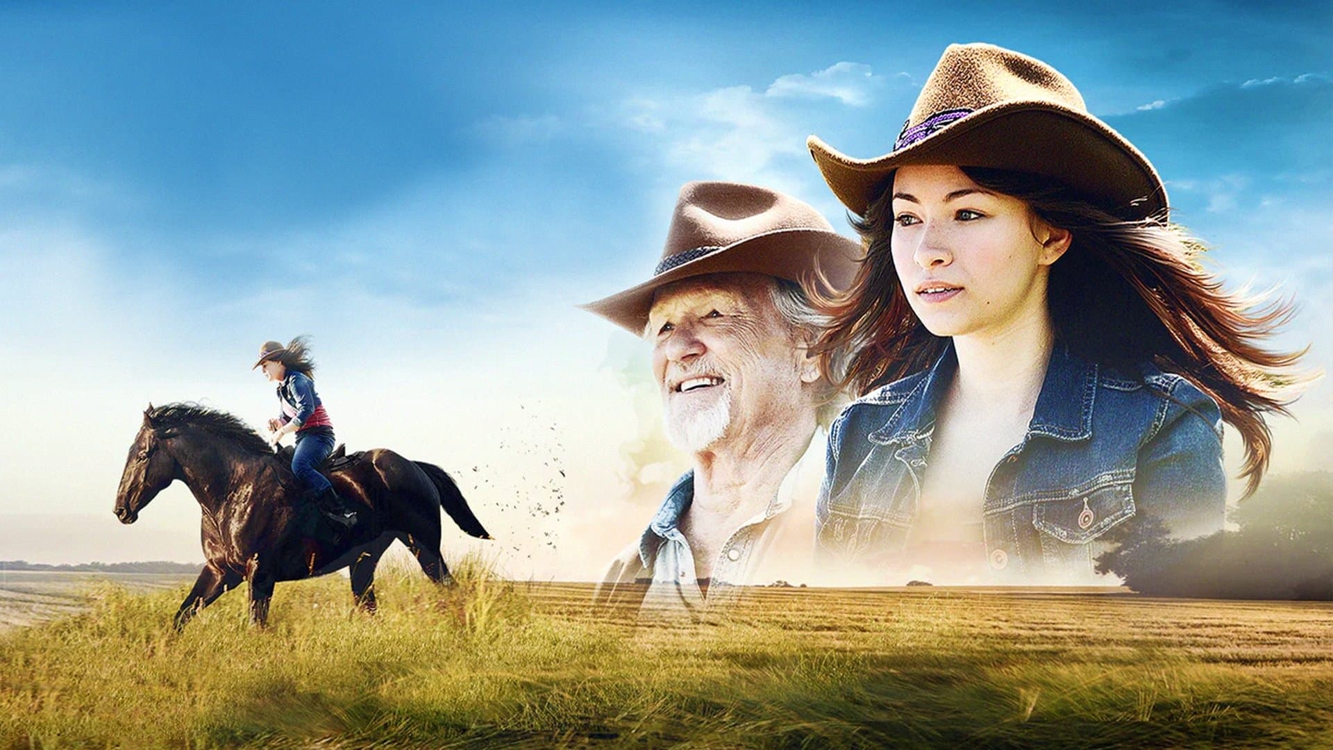 Armăsarul lui Megan