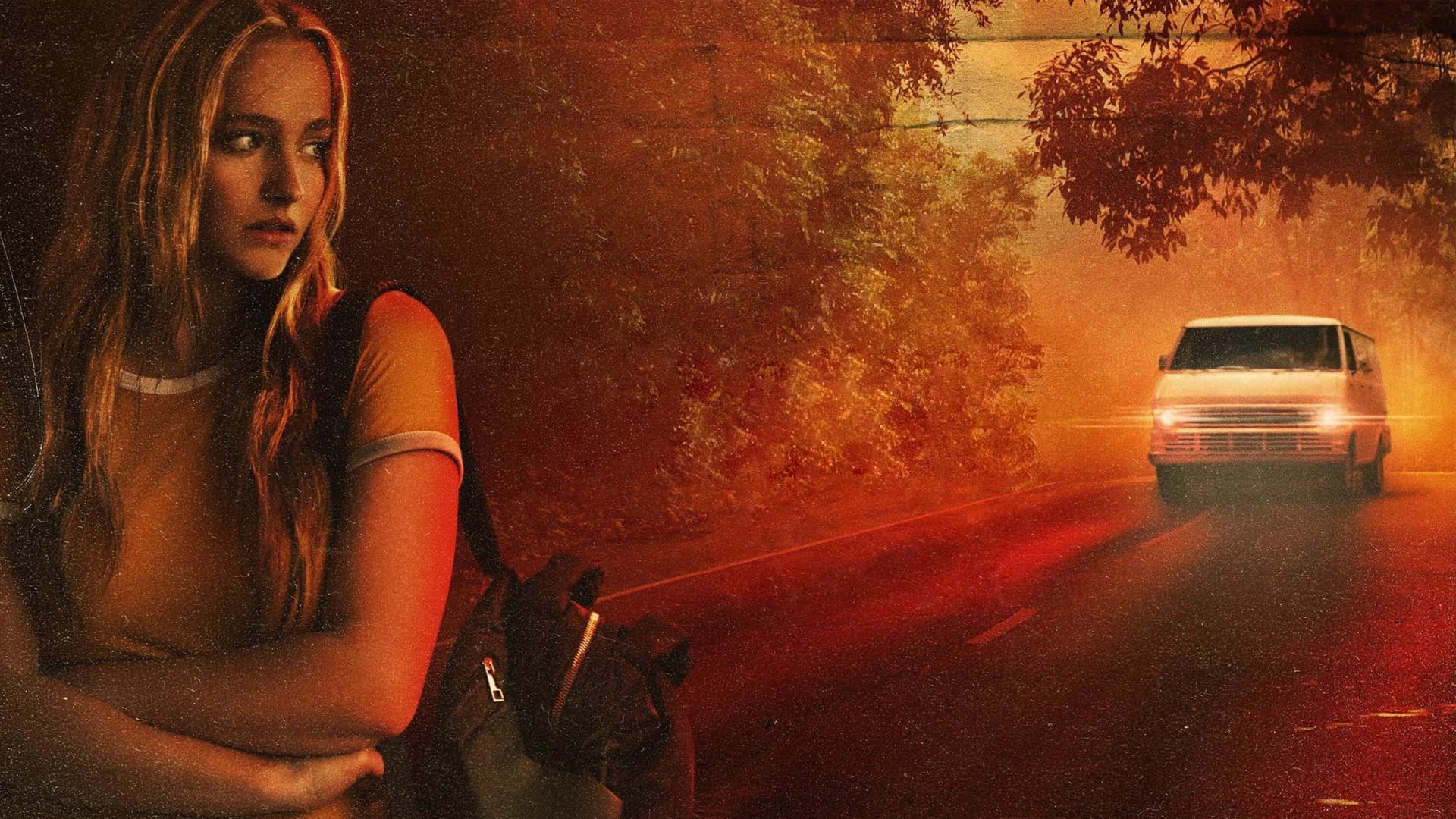 Bărbatul din duba albă