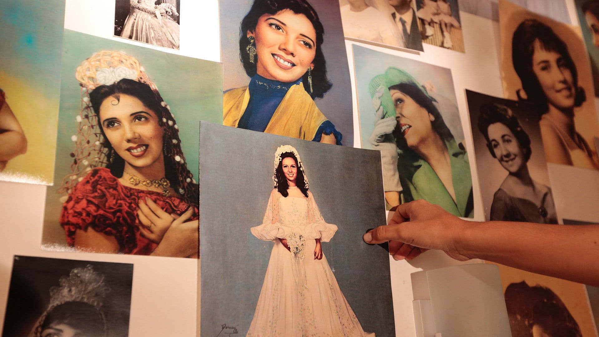 Todas as Vidas de Telma