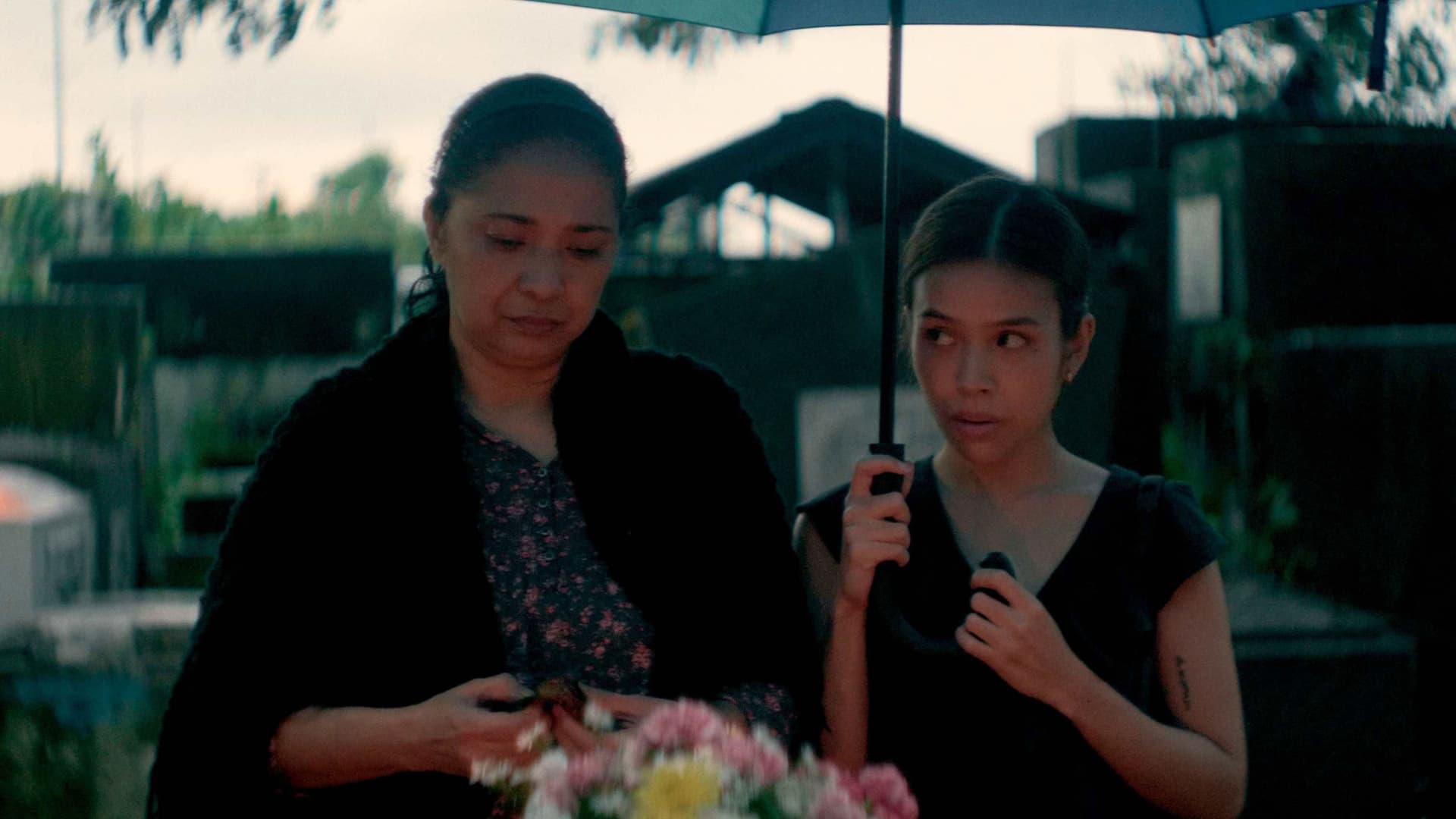 When It Rained Malunggay Leaves