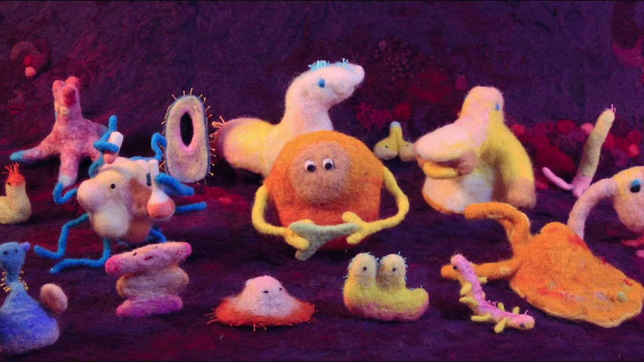 Hackuieste sanatatea: secretele intestinului tău