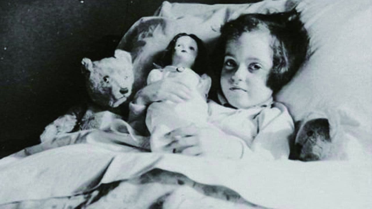 Ydessa, les ours et etc.