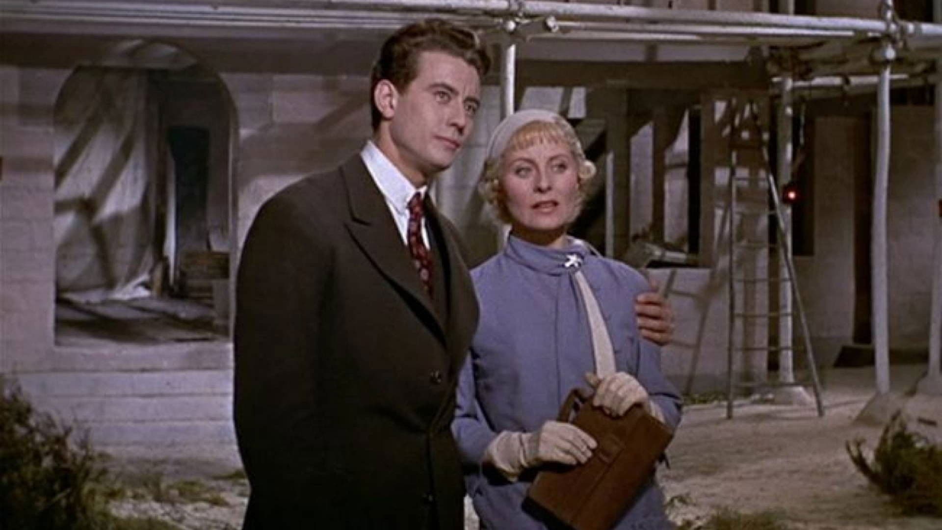 Marguerite de la nuit