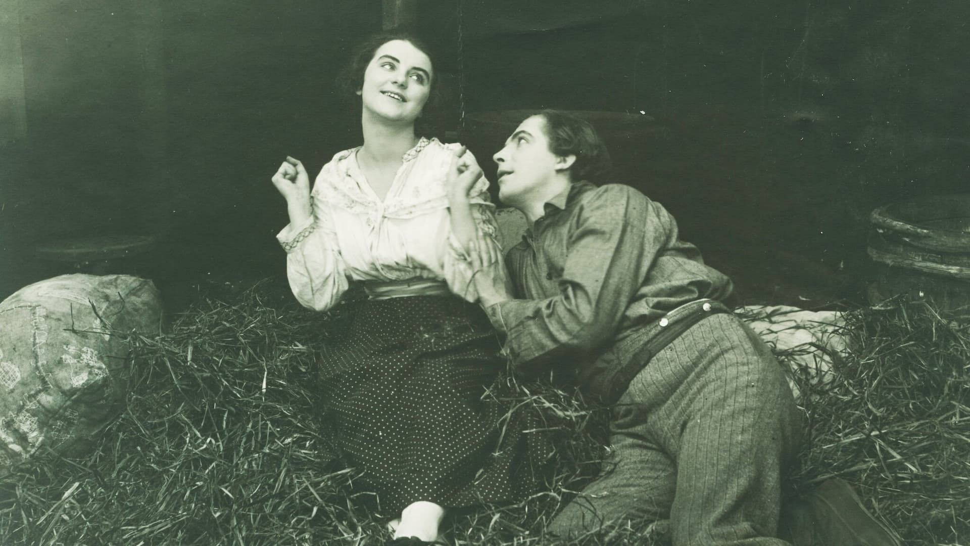 Cântecul florii stacojii