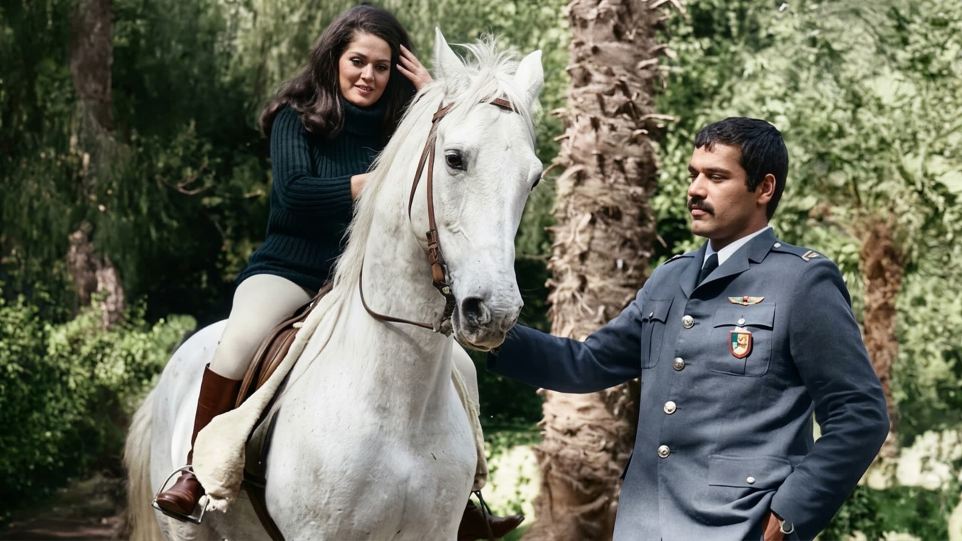 Merhamet