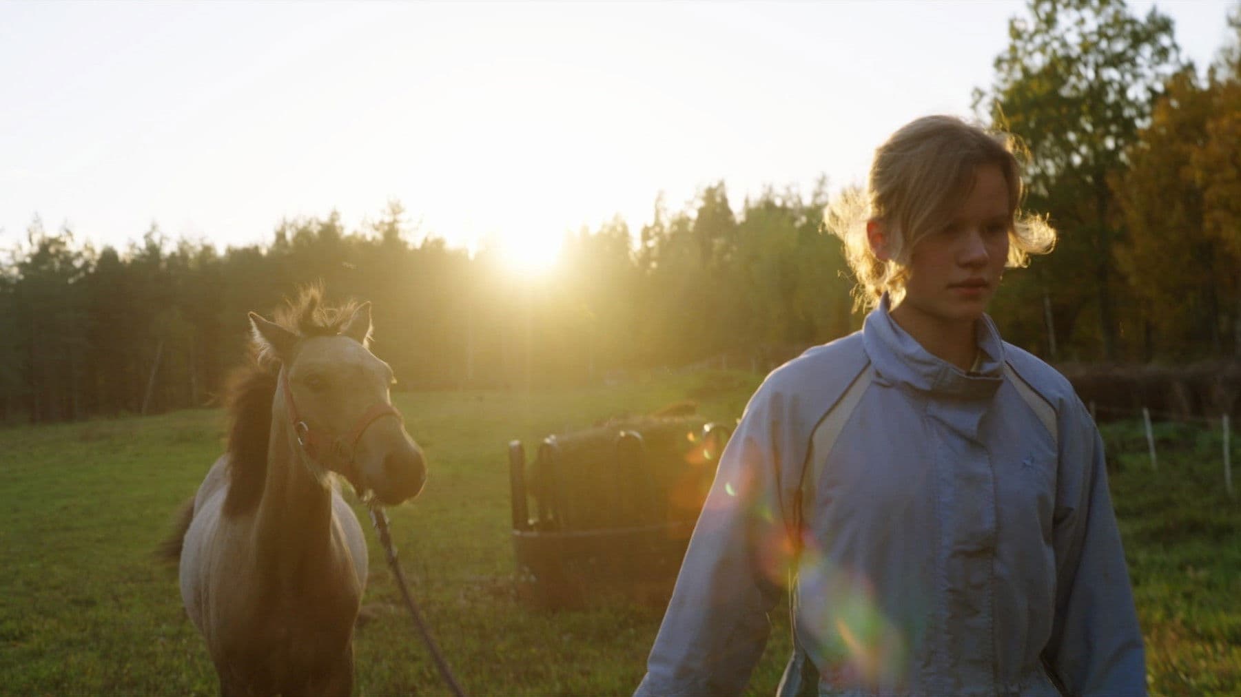 Turpinājums. Pieaugšana