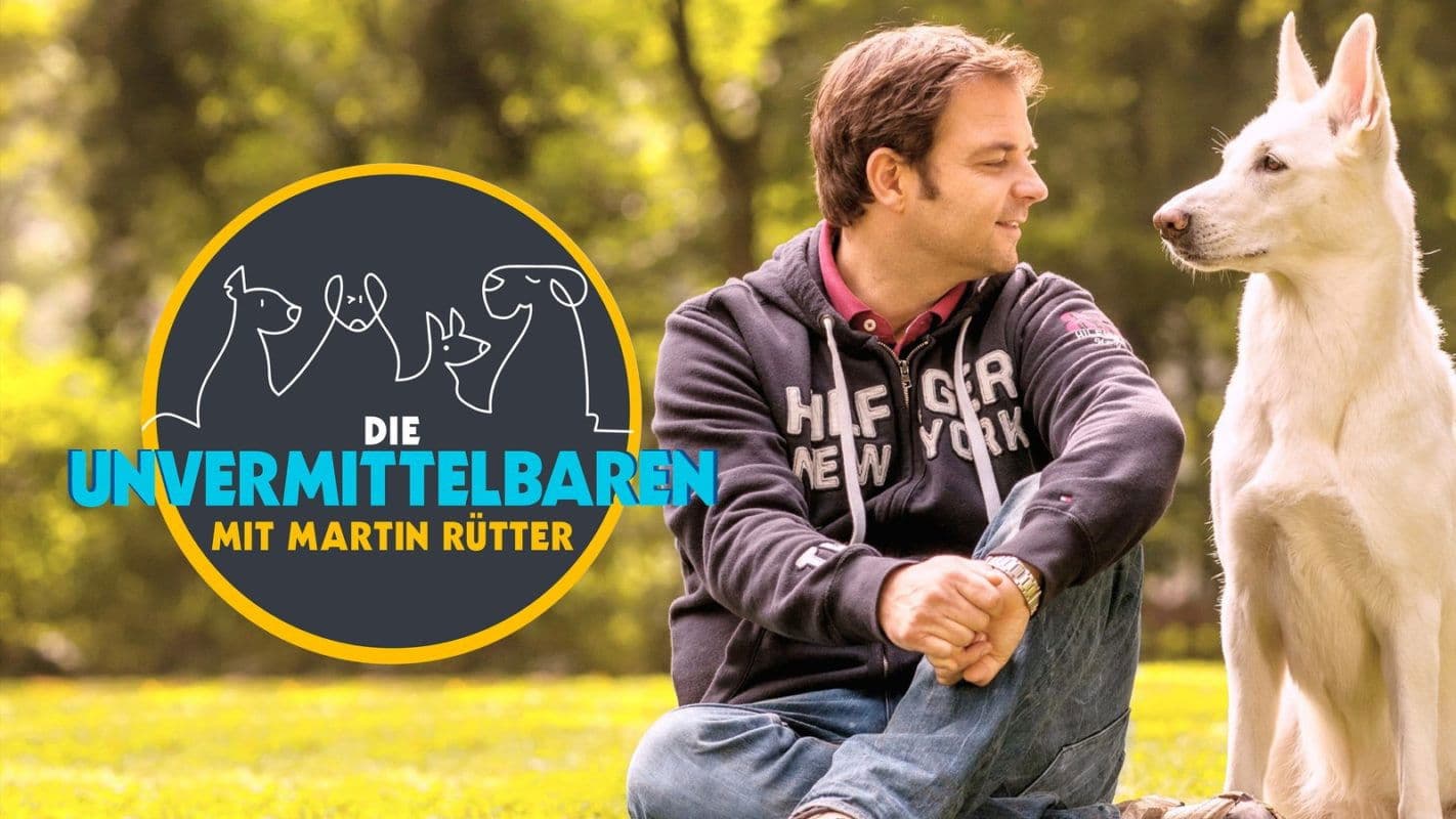 Die Unvermittelbaren - mit Martin Rütter