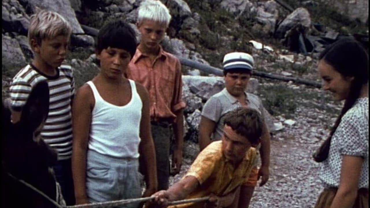 Bratovščina Sinjega galeba