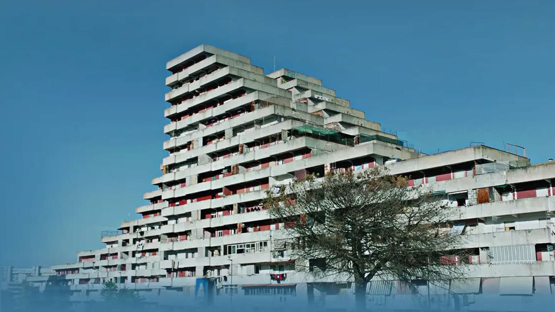 Povestea serialului Gomora