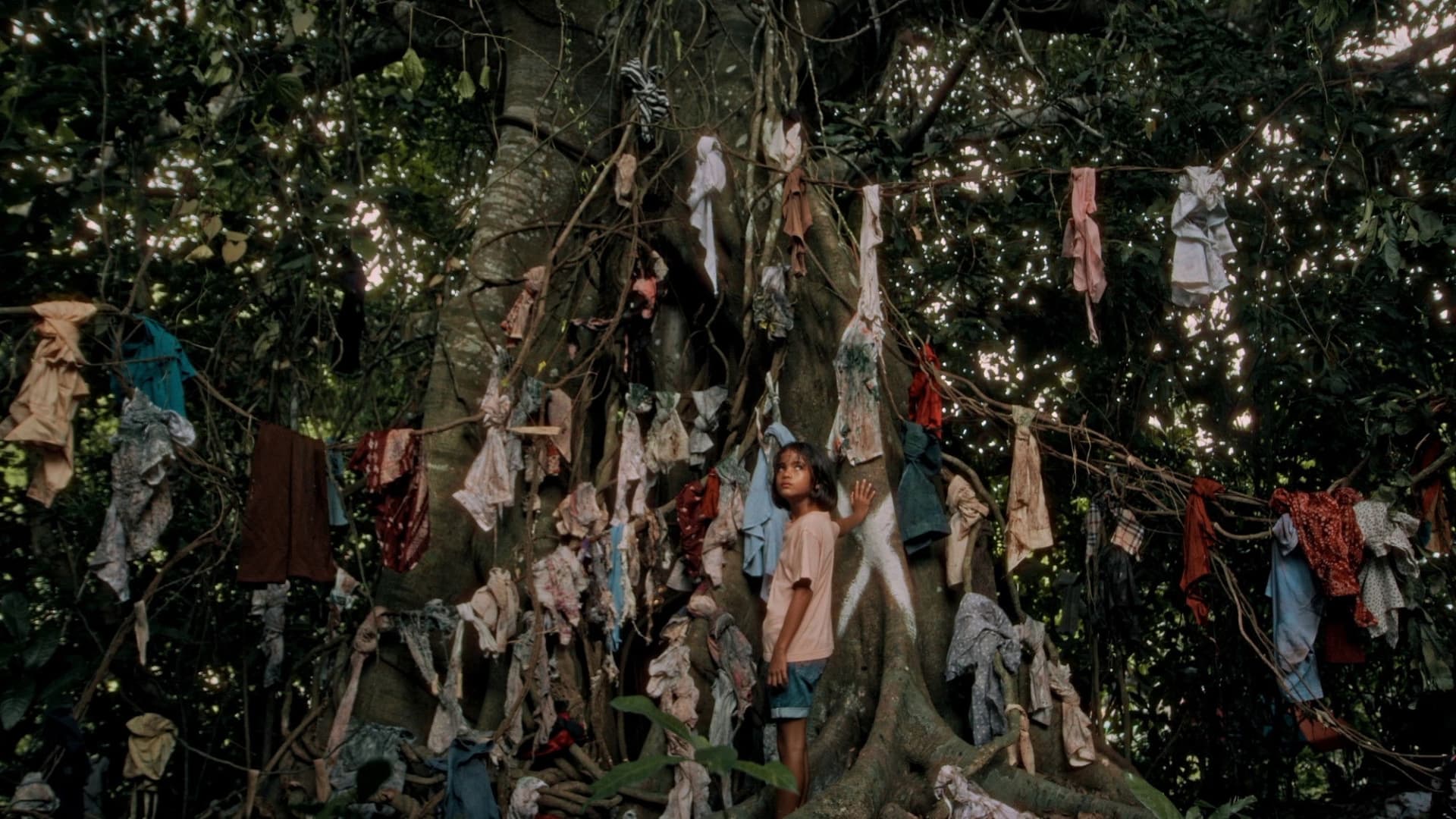 Bisan Abo, Wala Bilin