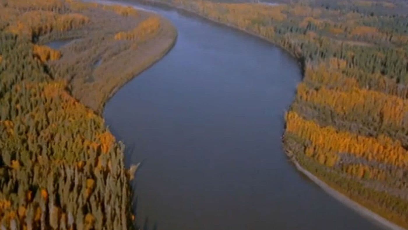 Footprints in the Delta