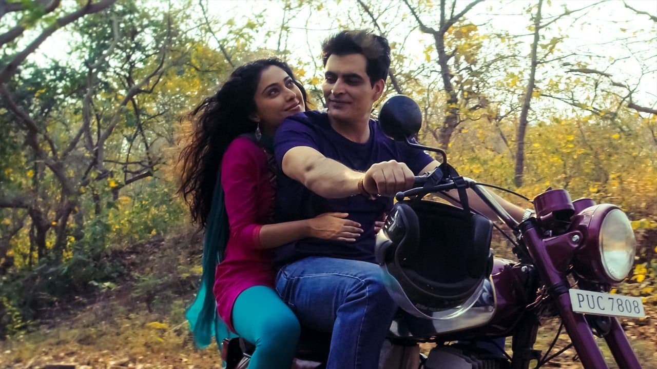 Profesorul de muzica