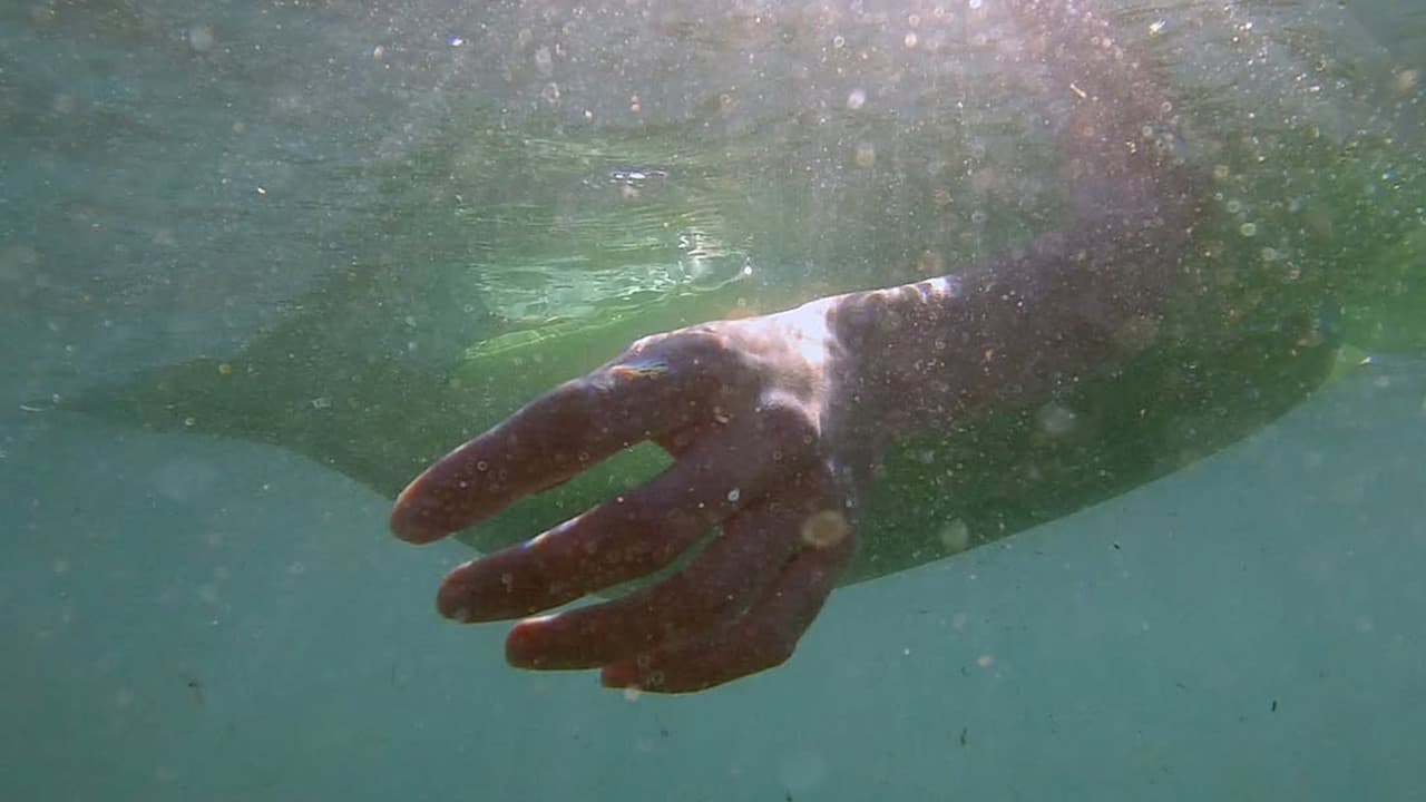 Depredadores sobre el mar