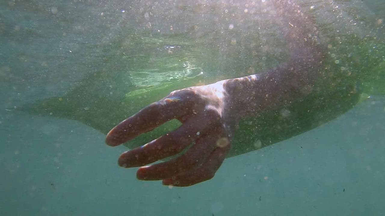 Depredadores sobre el mar