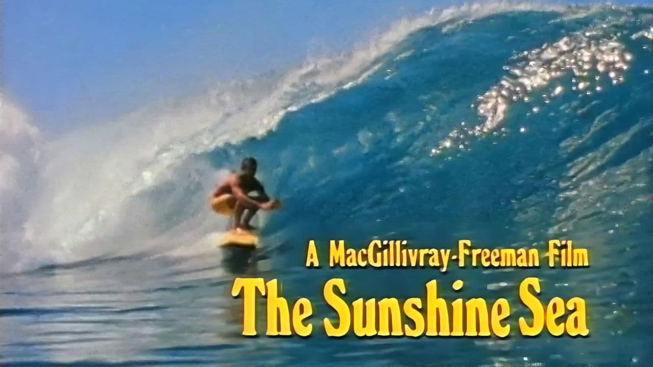 The Sunshine Sea