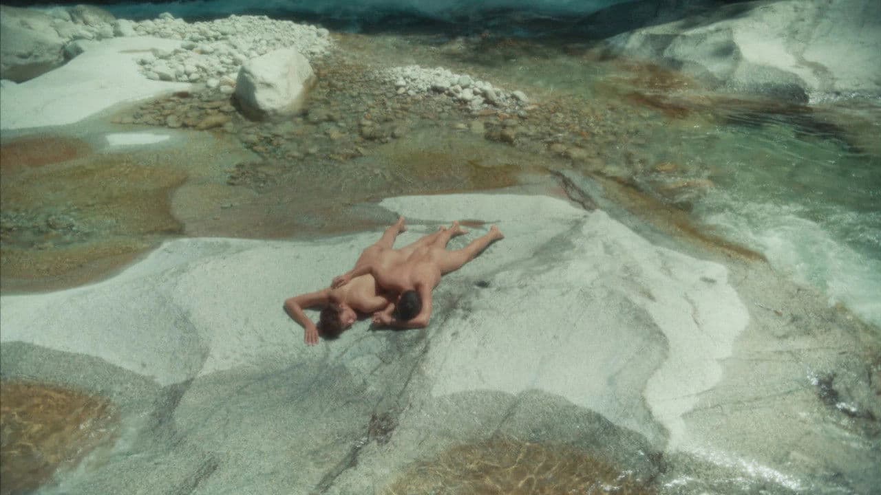 En meute ou solitaire