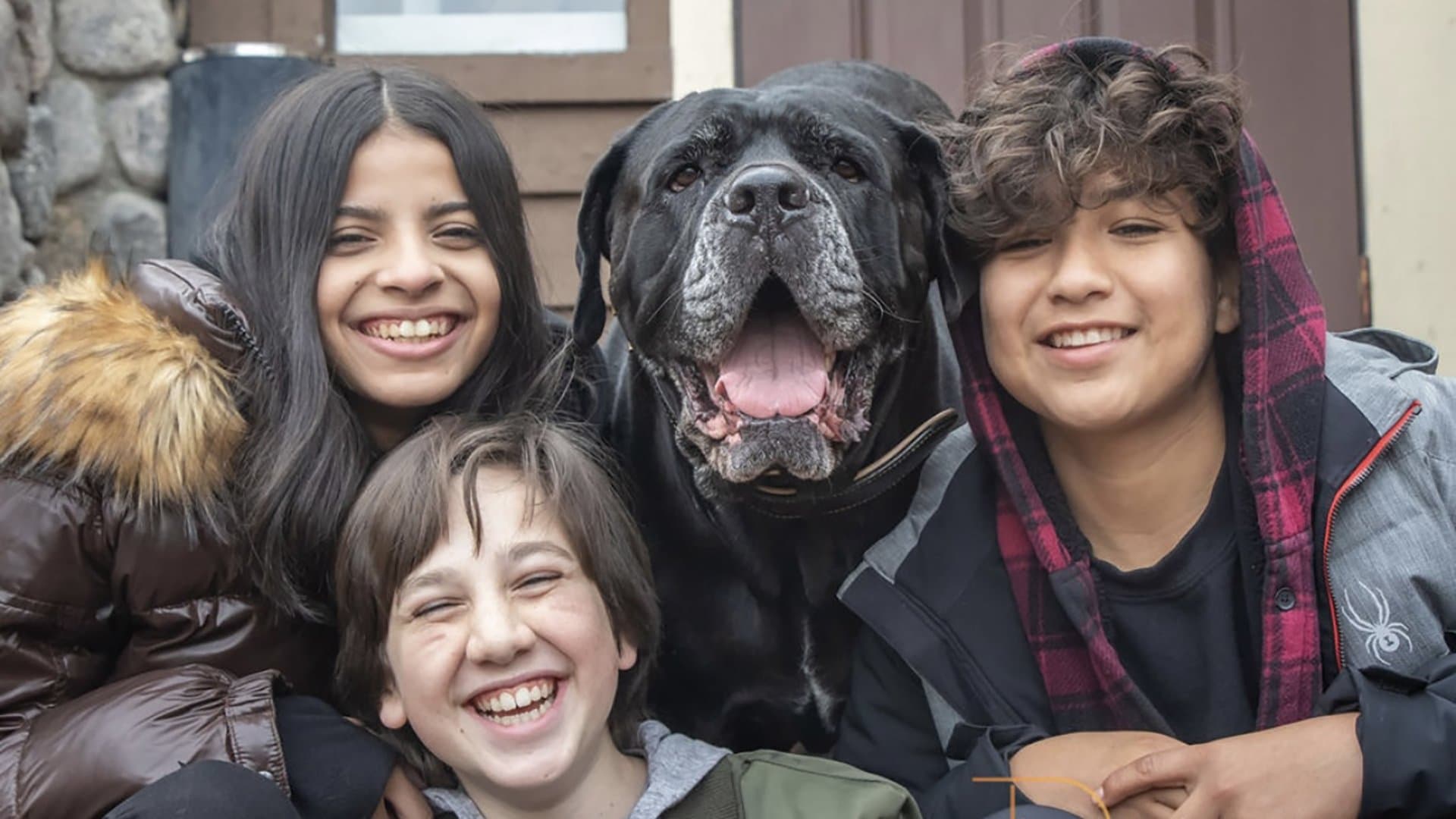 Athena salvează Crăciunul