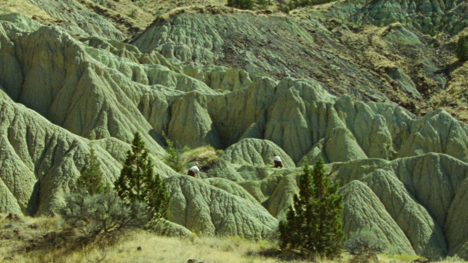 And Then I Knew 'Twas Wind