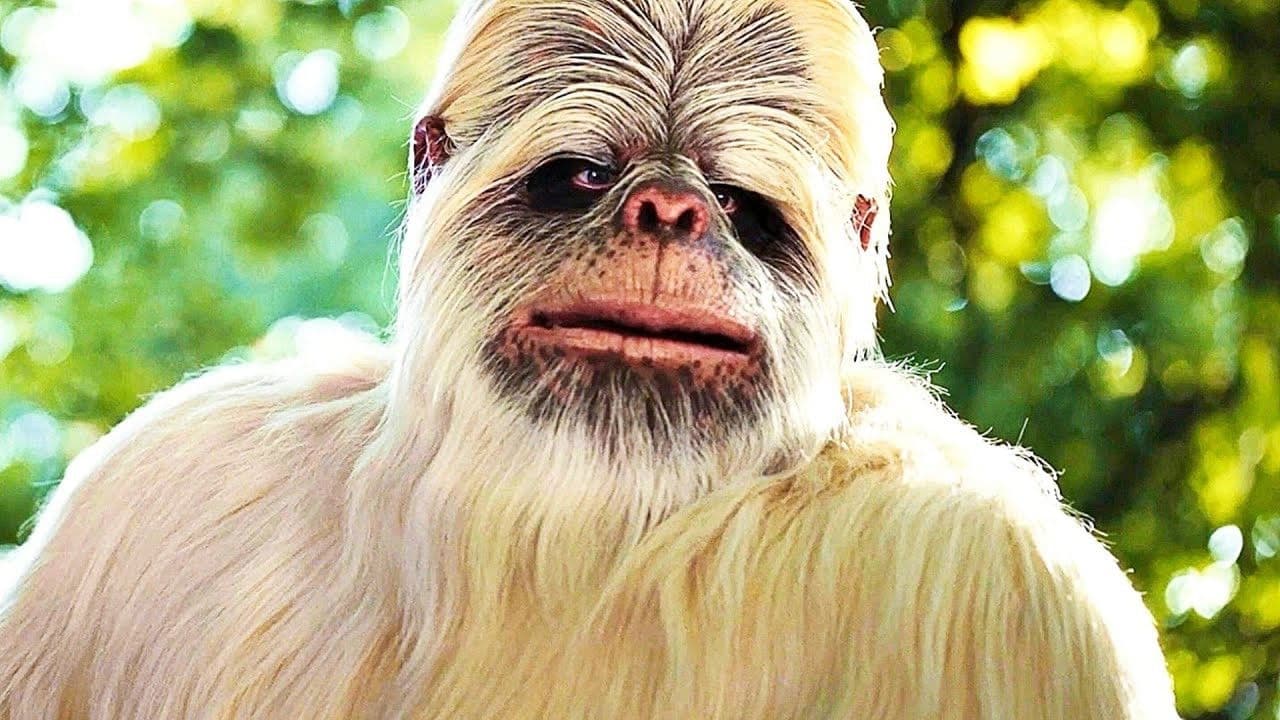 сНежный человек