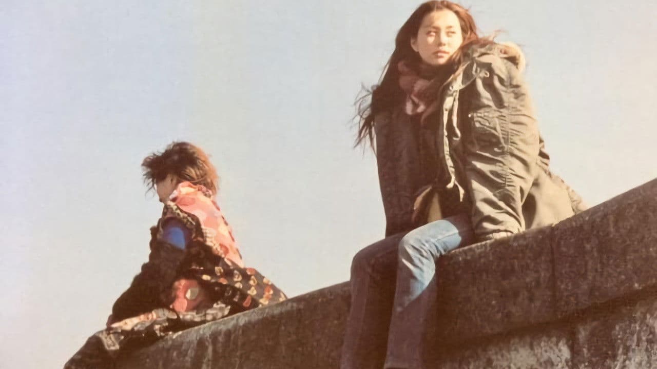 ダンボールハウスガール