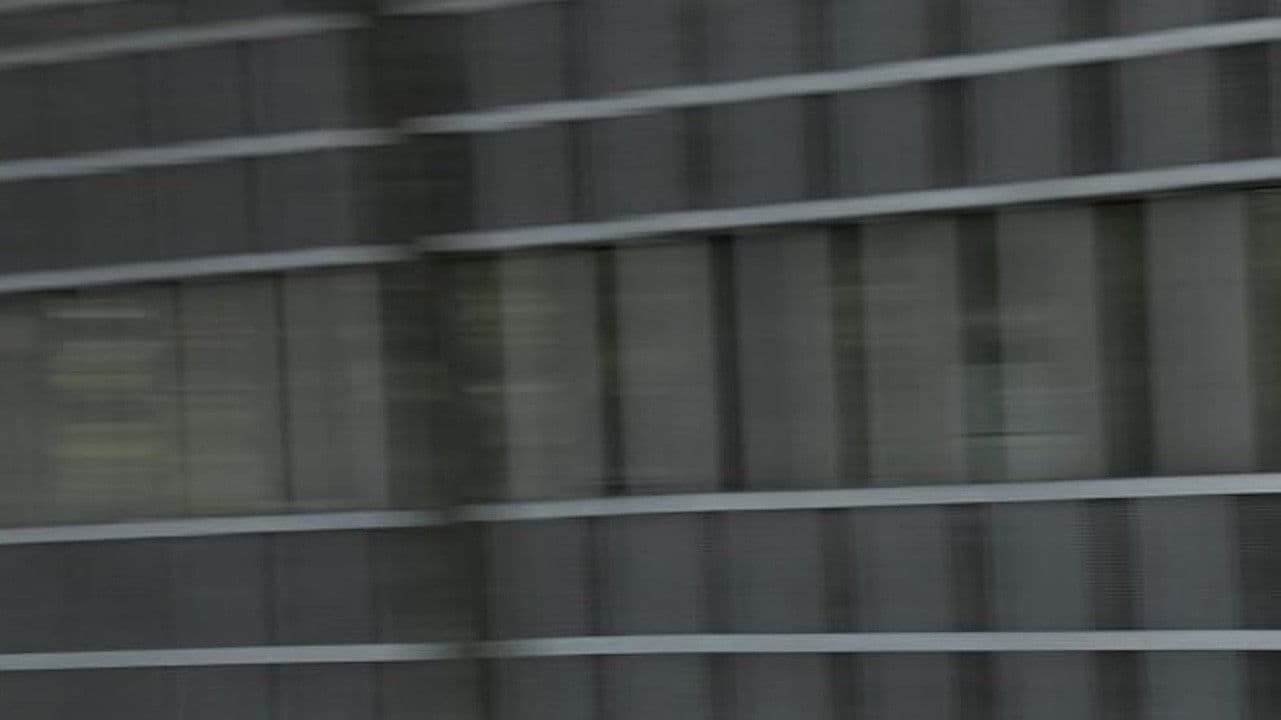 El movimiento inaudible de las cosas