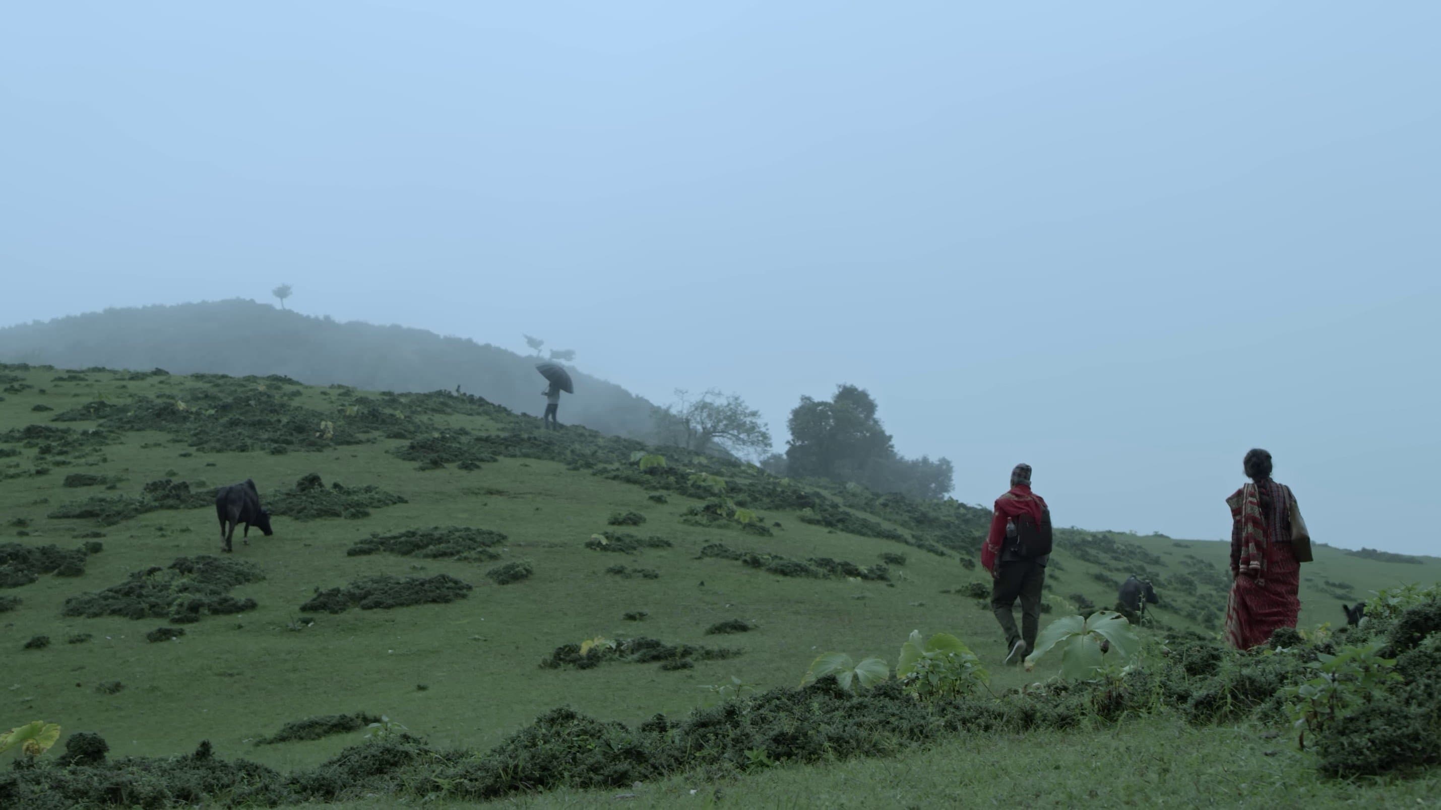 पानीफोटो