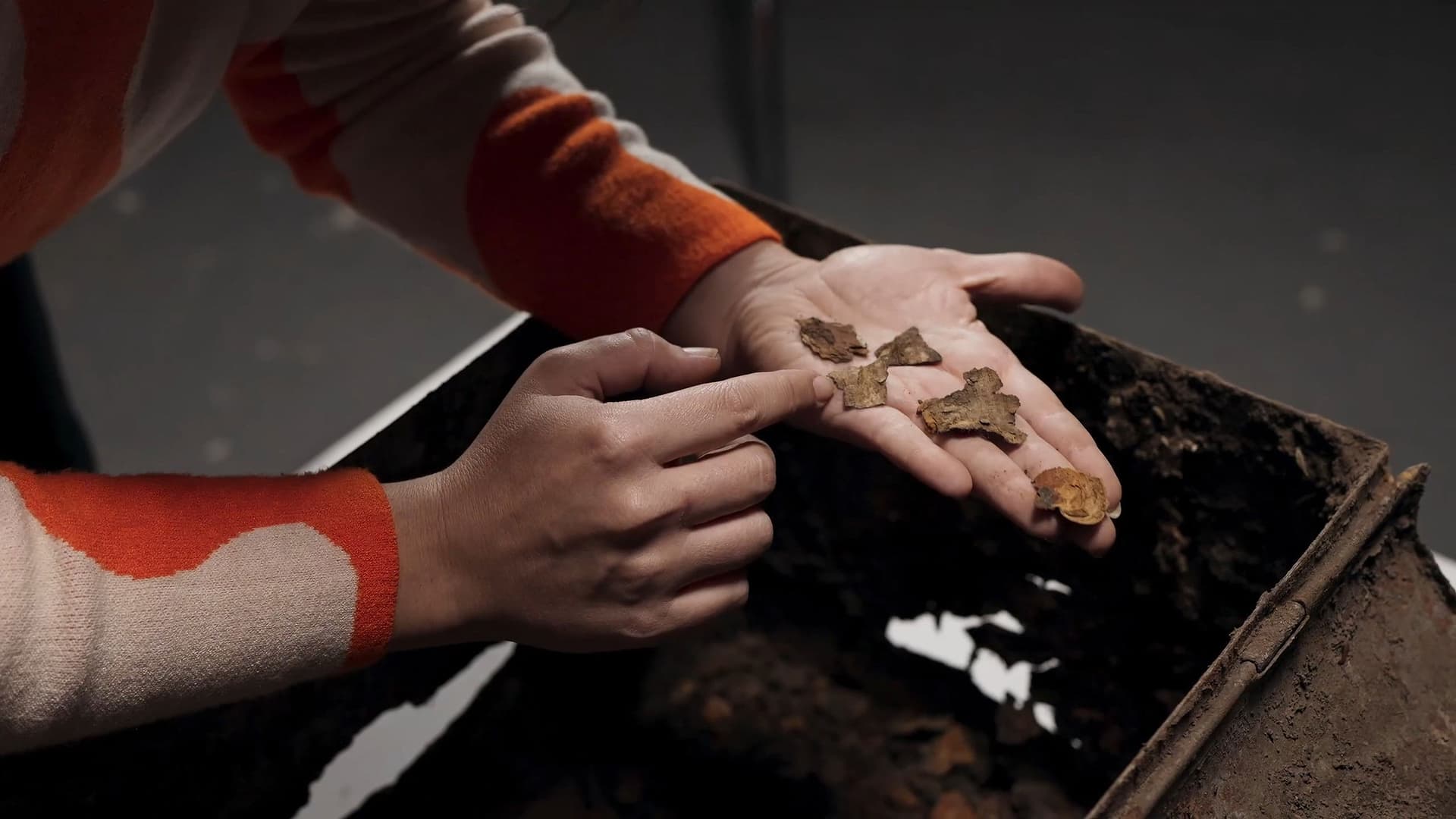 Desentierros. Los libros que no heredamos