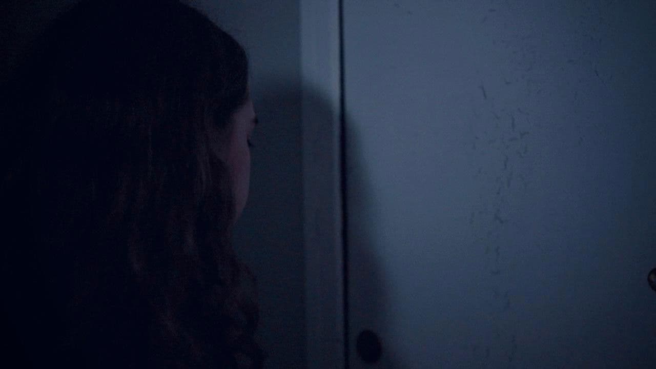 Folhas Secas de Outono