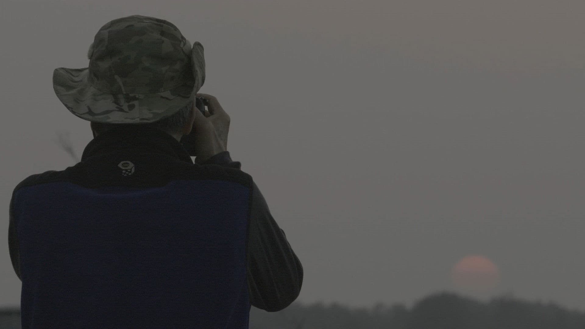 我在荒野做了一場夢