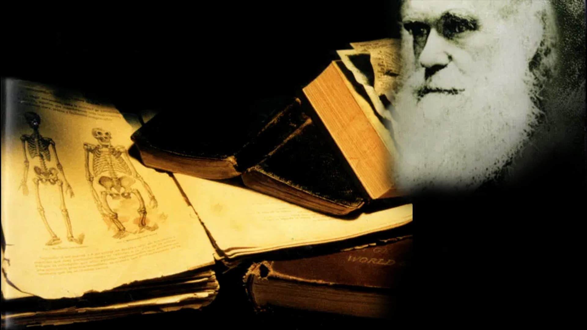 What Darwin Didn't Know