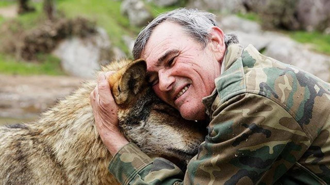 Marcos, el lobo solitario