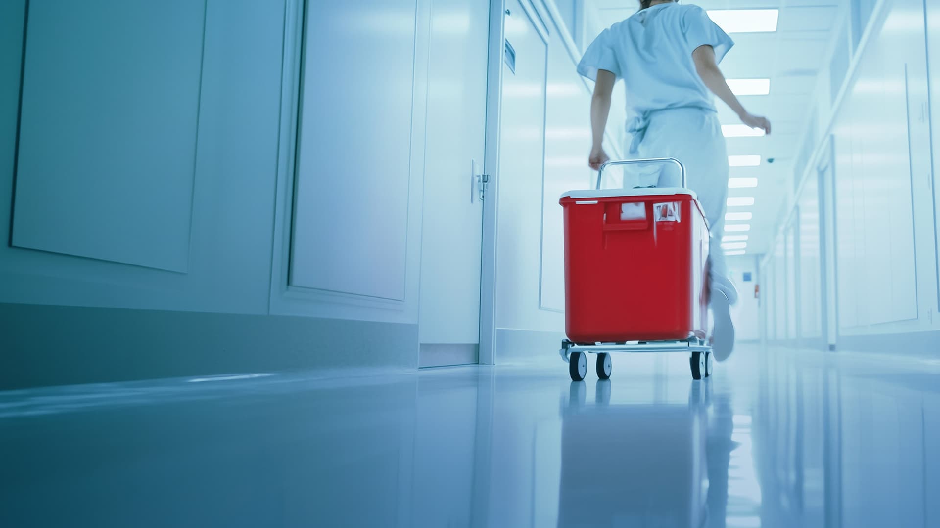 Operação Transplante