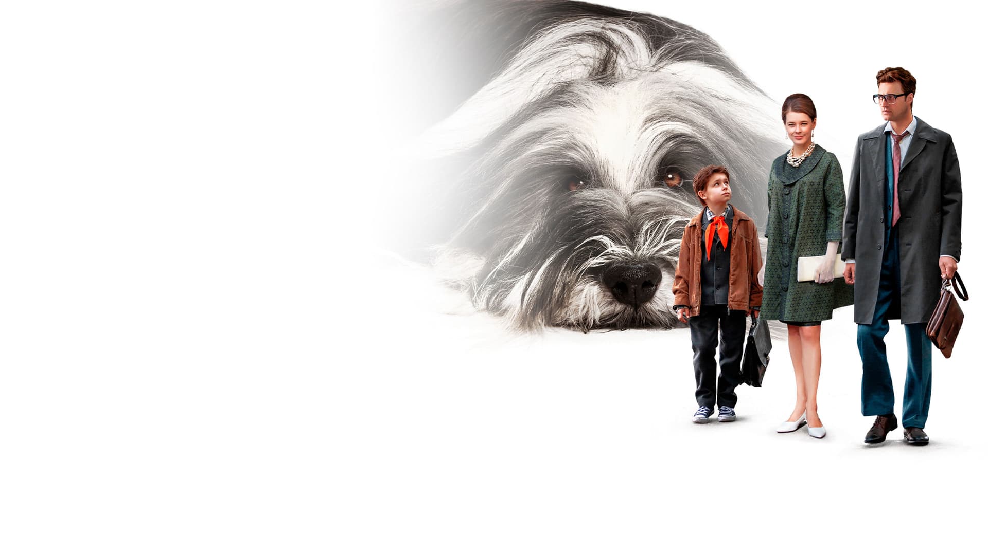 Каждый мечтает о собаке