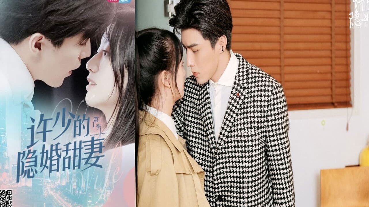 许少的隐婚甜妻