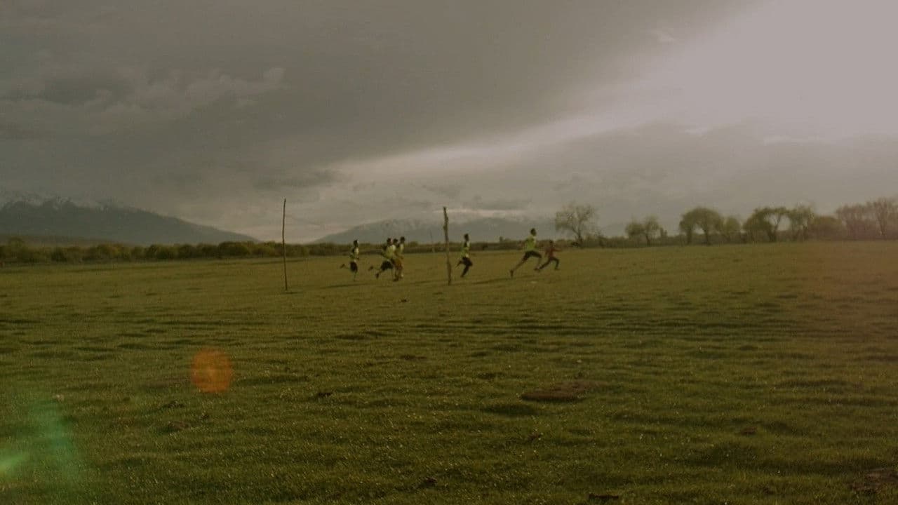 Жашыл талаа