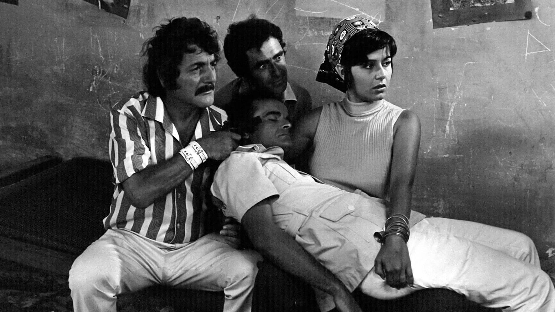 Malteses, Burgueses e às Vezes...