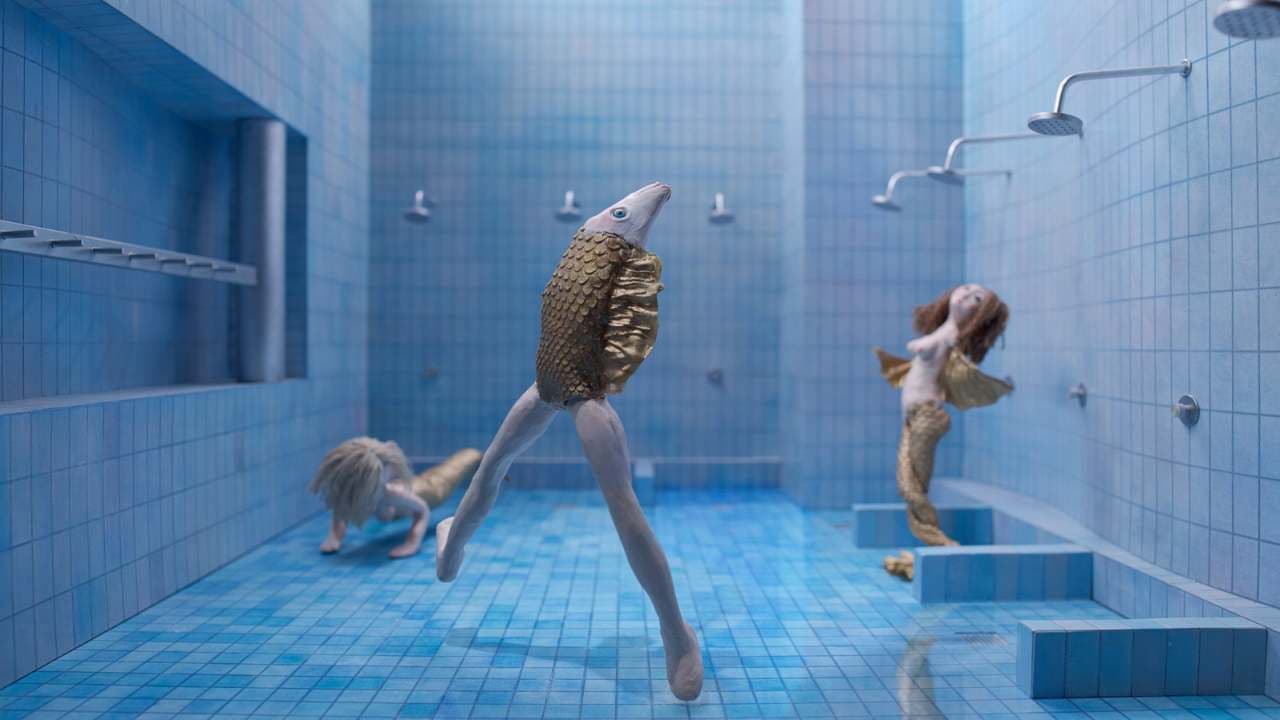 Basen albo śmierć złotej rybki