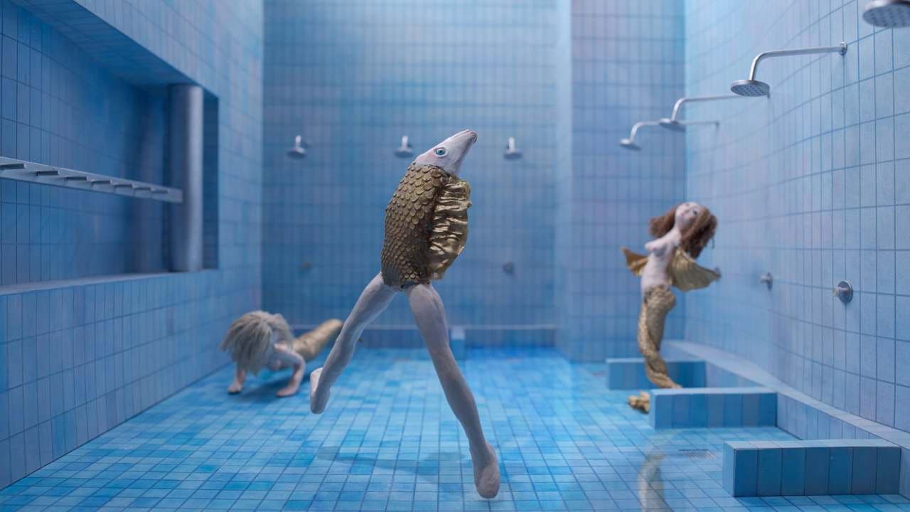 Basen albo śmierć złotej rybki