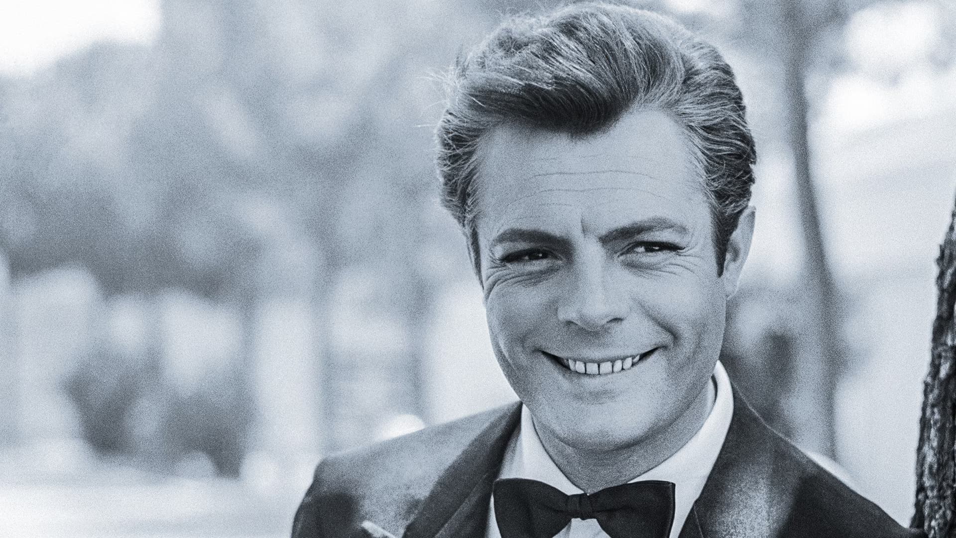 Ciao Marcello - Mastroianni l'antidivo