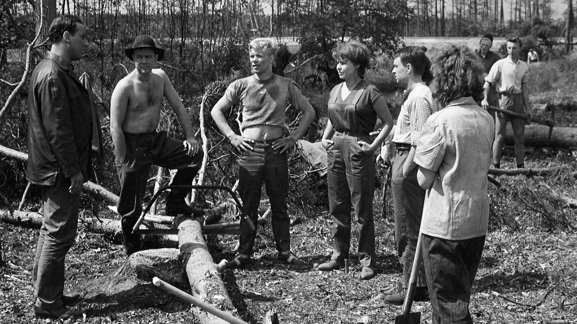 Beschreibung eines Sommers