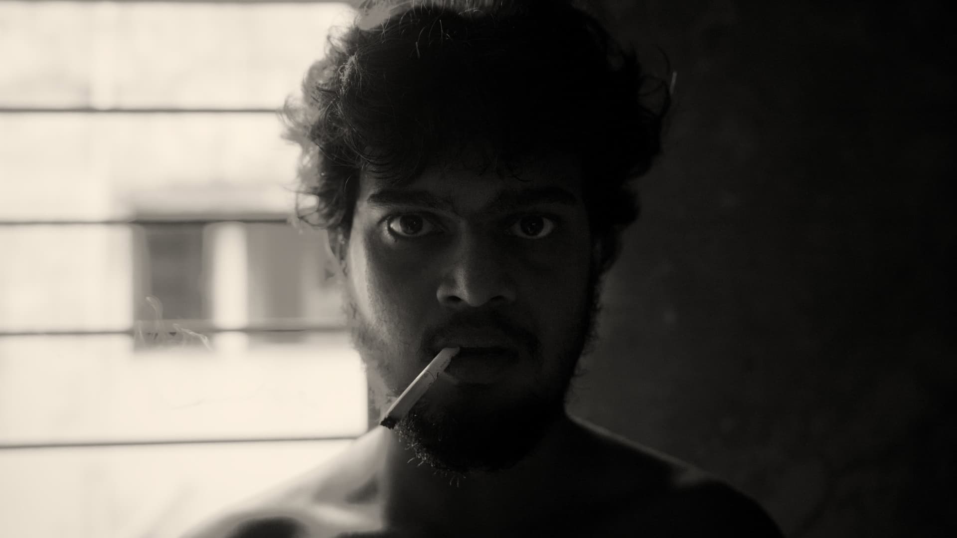 A Fly Floating In The Midst Of The Milk