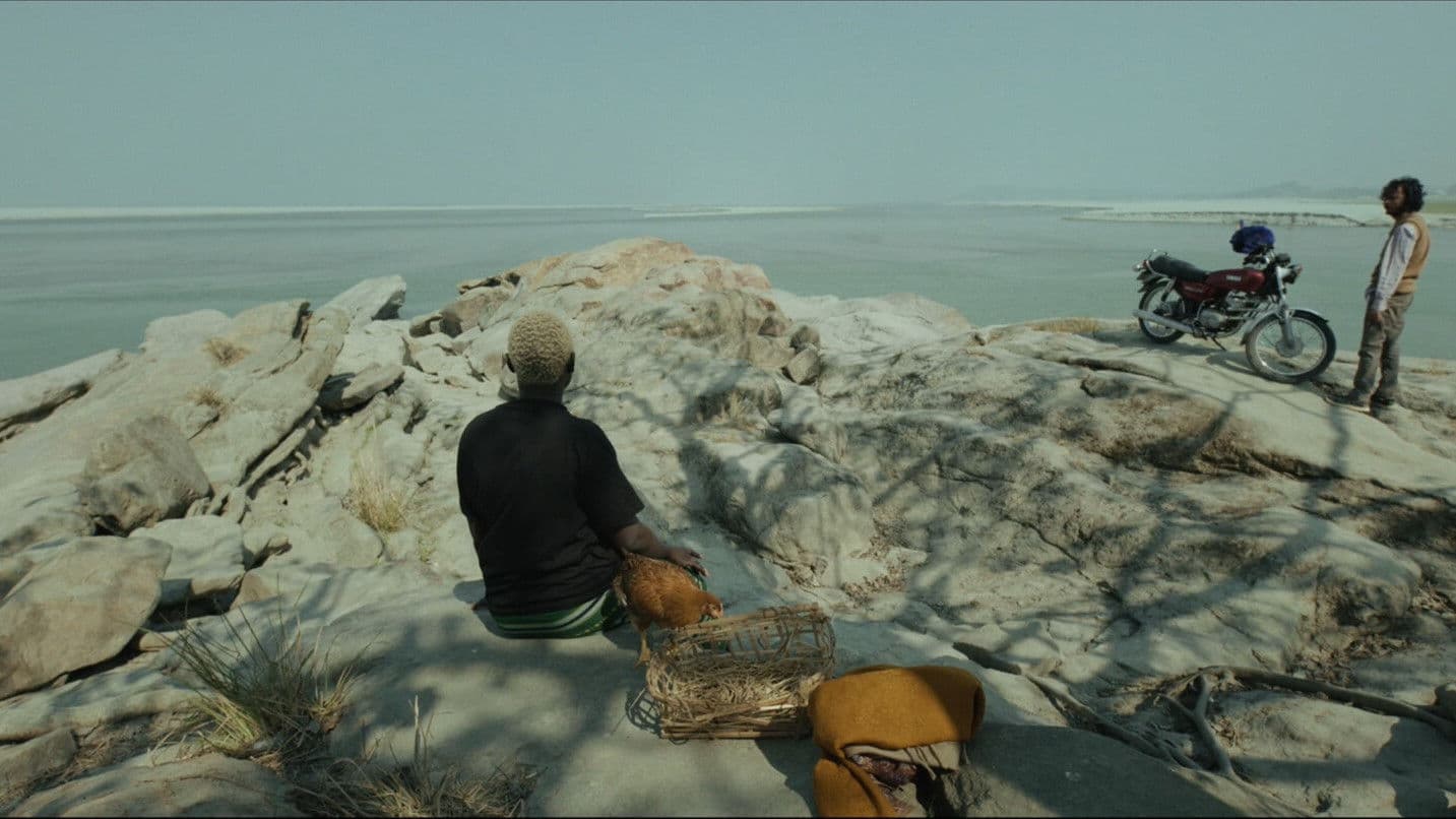 कॉक कॉक कोकूक